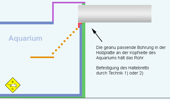 Aquarium Übergang Wüstenrennmaus