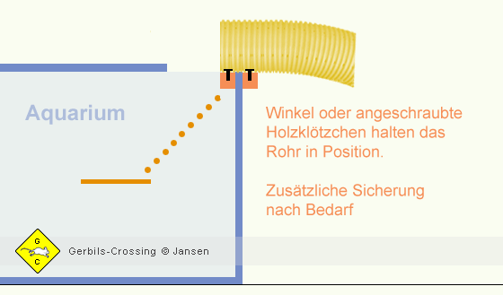 Aquarium Rohr aufgelegt Wüstenrennmaus