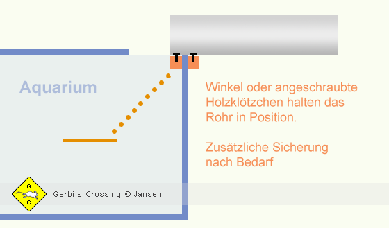 Aquarium Rohr aufgelegt Wüstenrennmaus