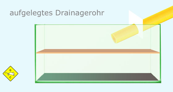 Rennmaus Teppichrohr oder Drainagerohr eingehängt