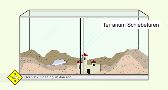 Rennmaus Terrarium Vorteile und Nachteile