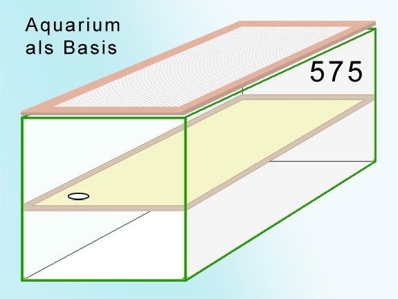 Rennmaus Holzaufbau als Aufsatz für ein Aquarium