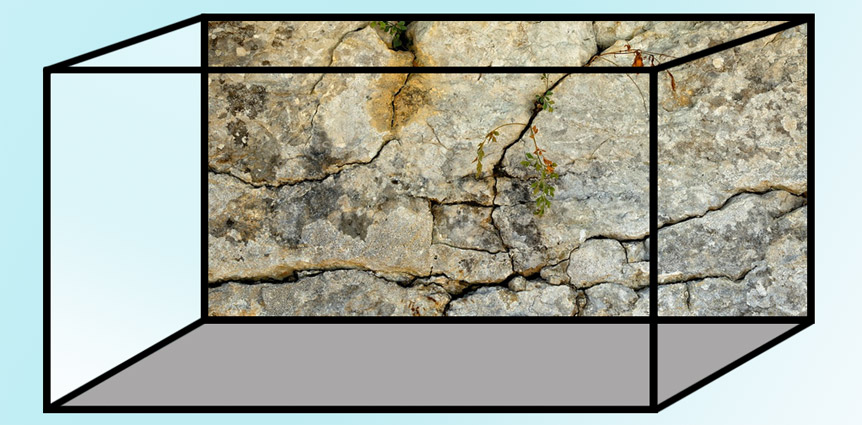 Terrarium mit Hintergrundbild