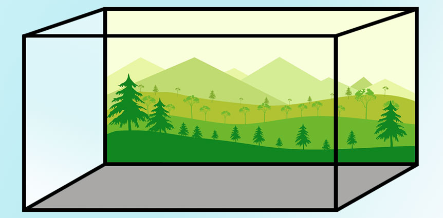 Terrarium mit Hintergrundbild