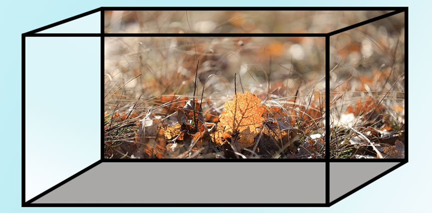 Terrarium mit Hintergrundbild